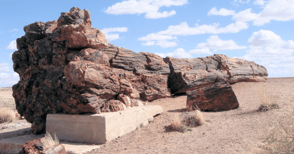 Petrified Forest_Best Arizona Road Trips To Take This Fall_Hochuli