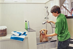 laundry room pet washing station remodel contractor scottsdale, az